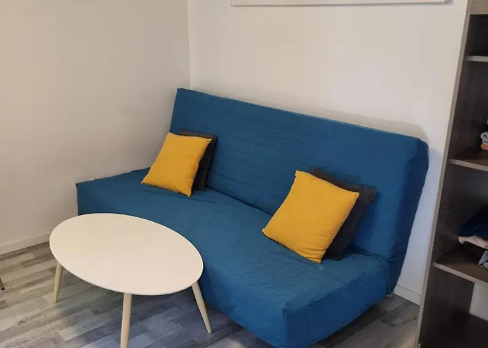 Les Saules Studio Wifi Clim Gare Centre