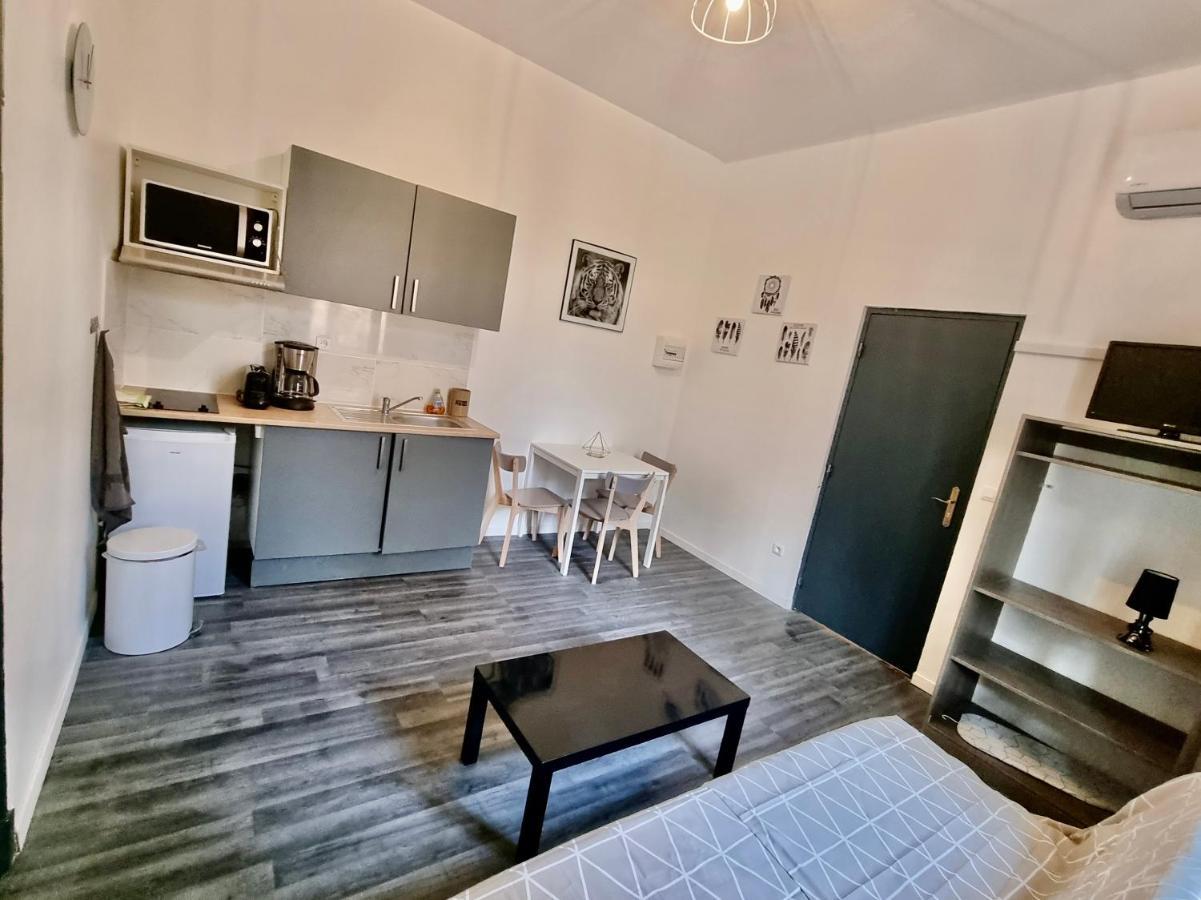 Les Saules Studio Wifi Clim Gare Centre * Avignon