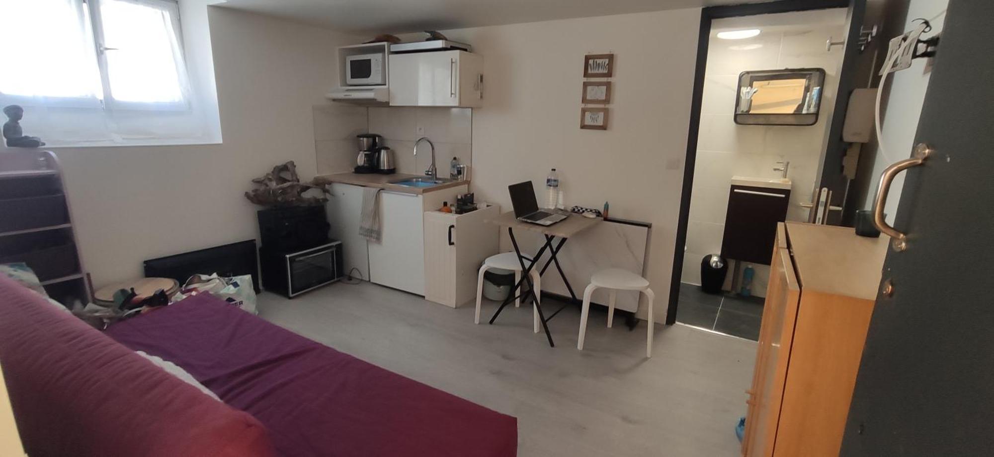 Les Saules Studio Wifi Clim Gare Centre Apartment *